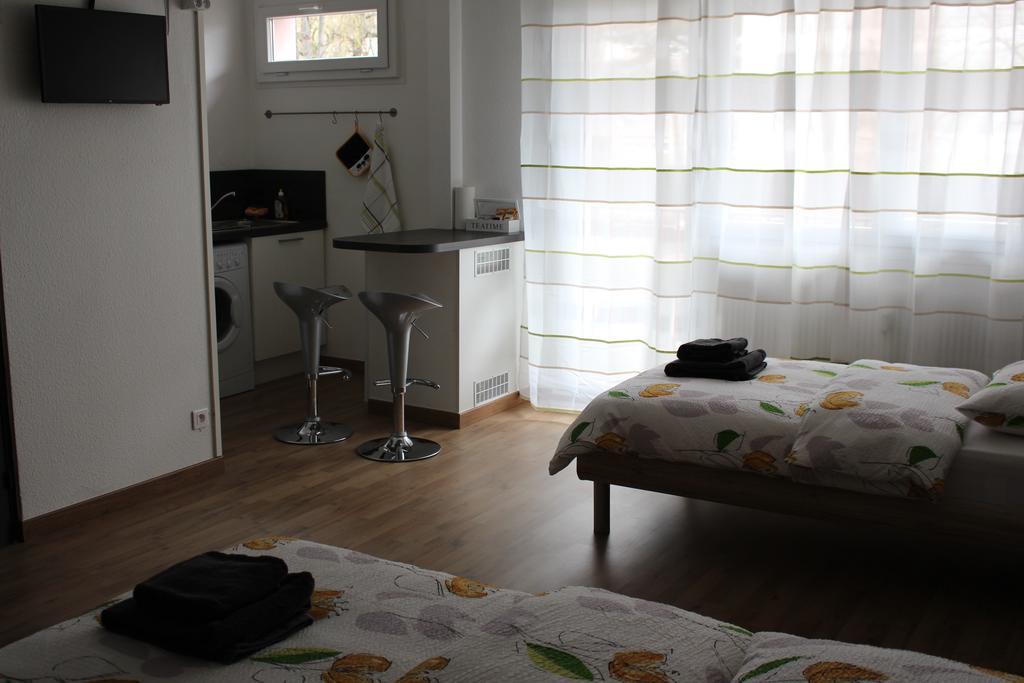 Studios Near Basel Airport Apartment Saint-Louis  Dış mekan fotoğraf
