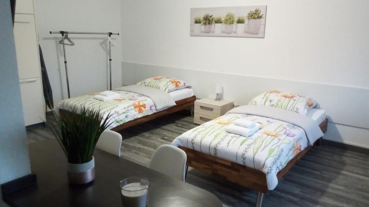 Studios Near Basel Airport Apartment Saint-Louis  Dış mekan fotoğraf